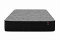 9″ Sweet Dream Mattress (M125)